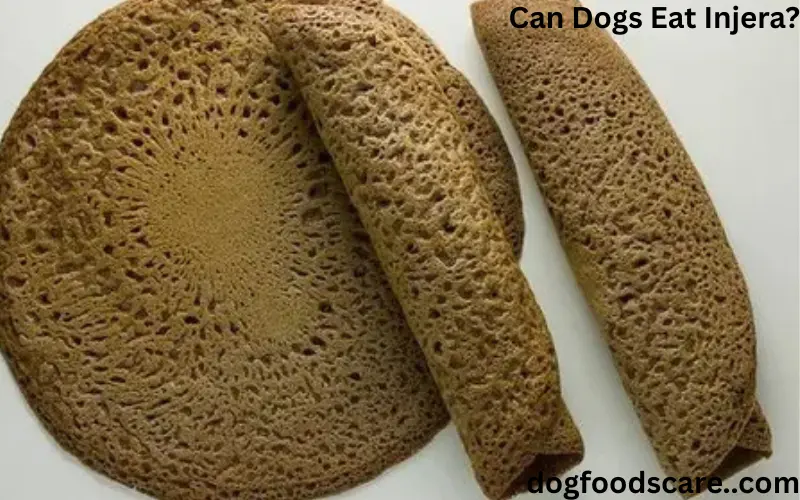 Can Dogs Eat Injera?