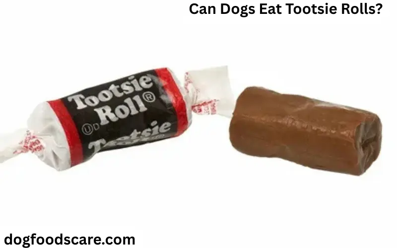 Can Dogs Eat Tootsie Rolls?