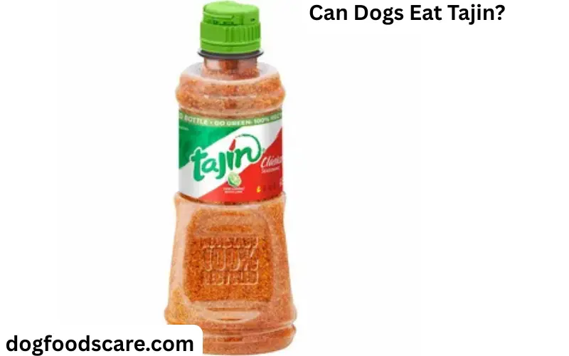 Can Dogs Eat Tajin?