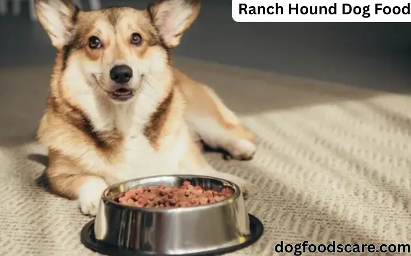 Ranch Hound Dog Food