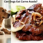 Can Dogs Eat Carne Asada?