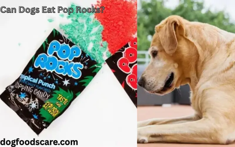 Can Dogs Eat Pop Rocks?