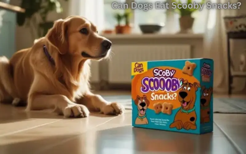 Can Dogs Eat Scooby Snacks?