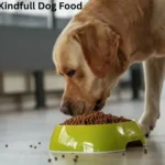 Kindfull Dog Food Review