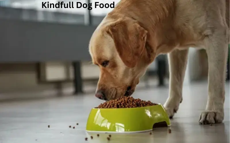 Kindfull Dog Food Review