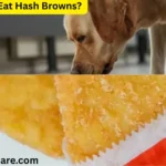Can Dogs Eat Hash Browns?