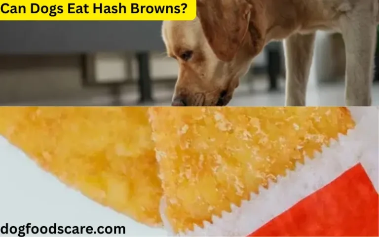 Can Dogs Eat Hash Browns?