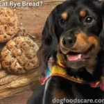 Can Dogs Eat Rye Bread?