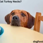 Can Dogs Eat Turkey Necks?